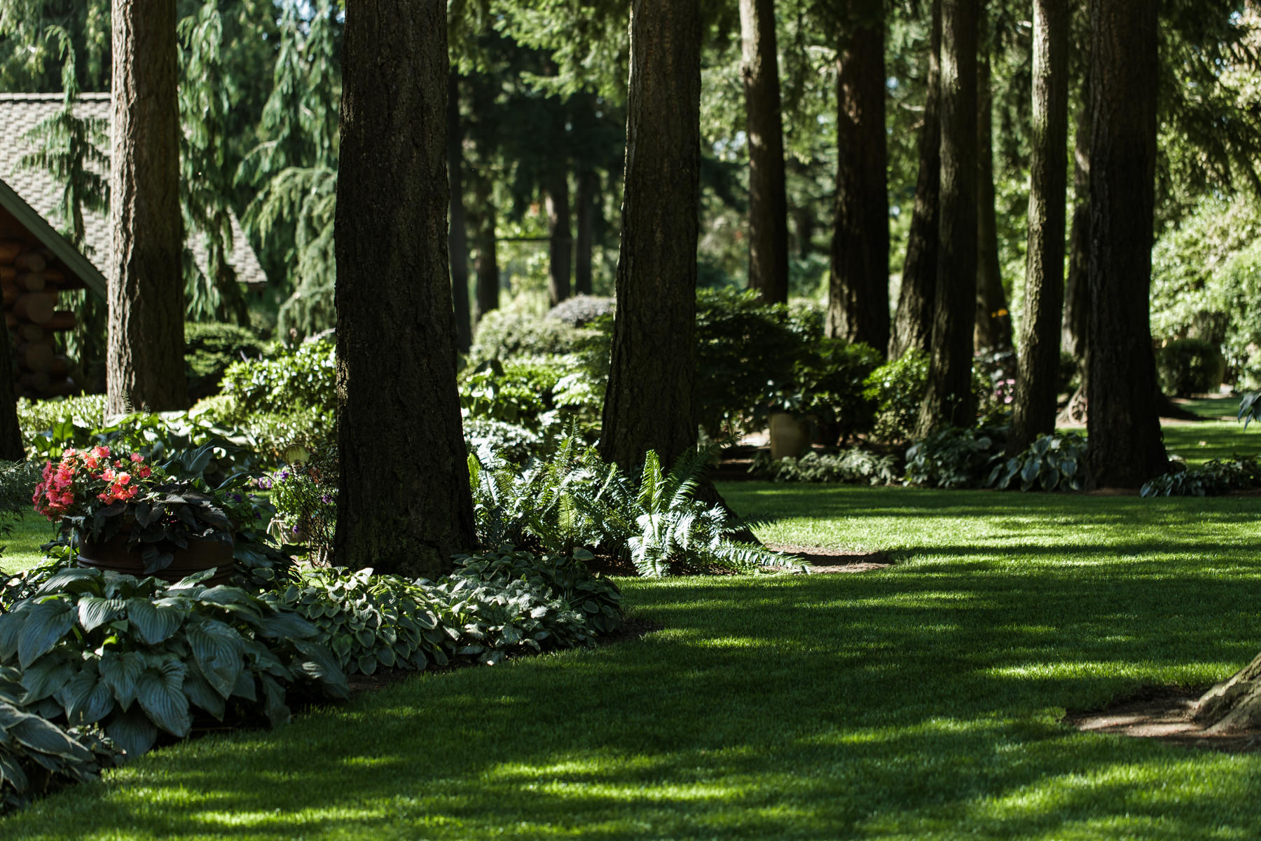 pnw seattle wedding photographer evergreen gardens ferndale