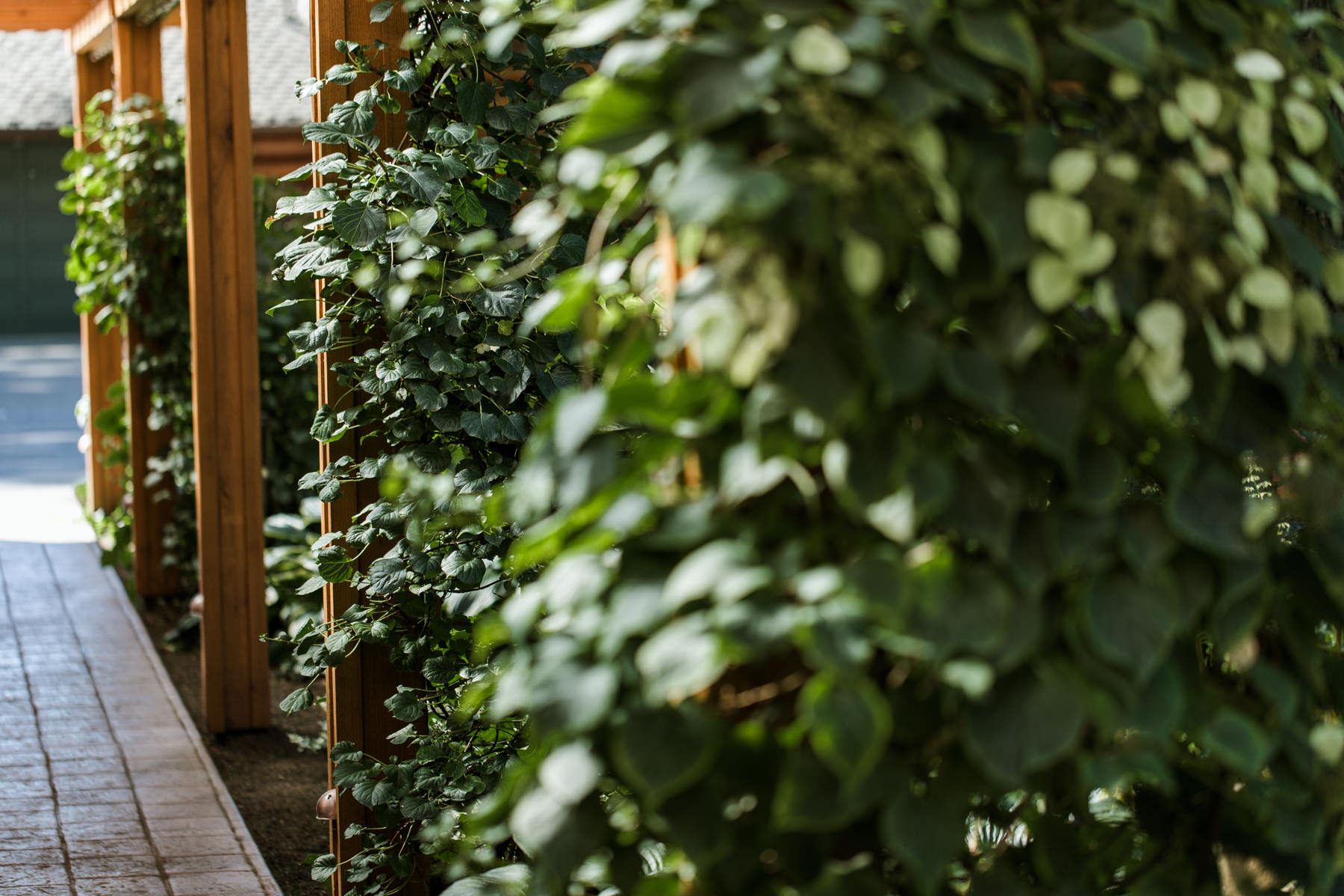pnw seattle wedding photographer evergreen gardens ferndale
