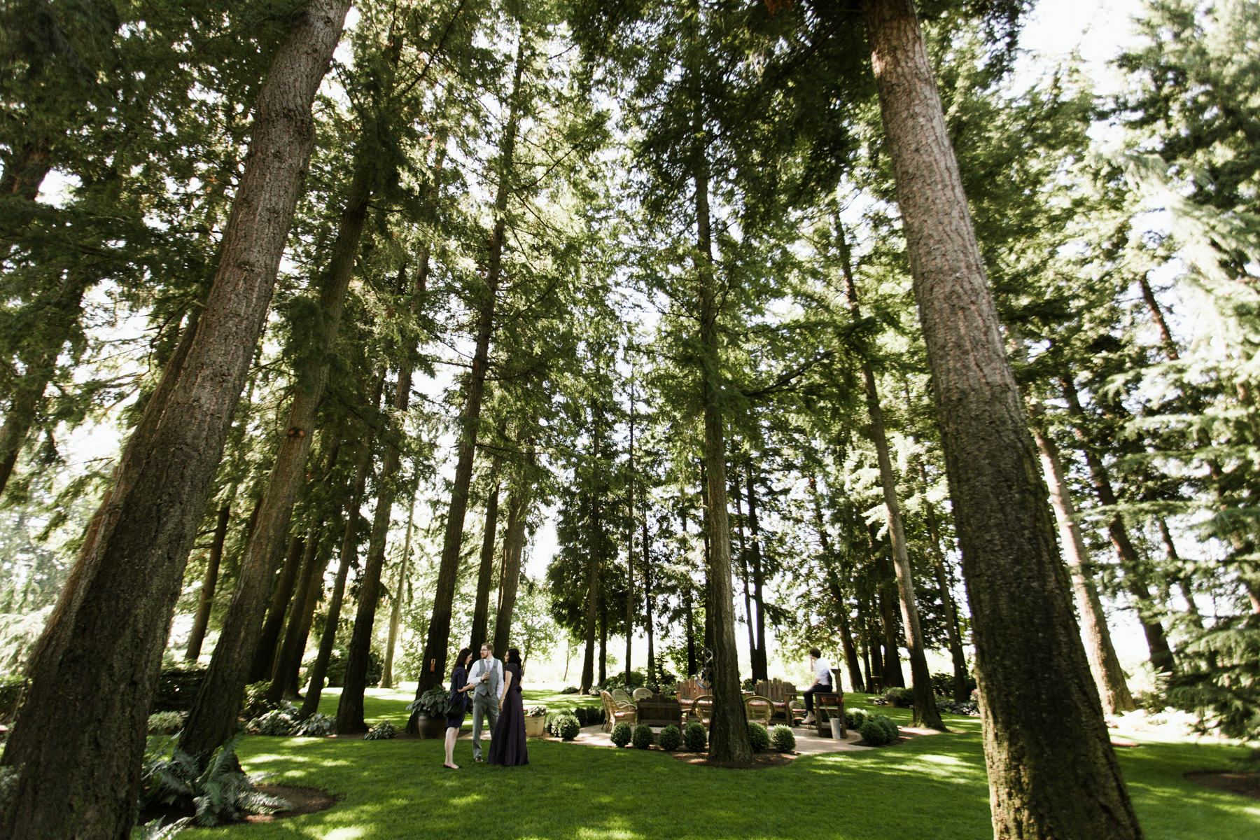 pnw seattle wedding photographer evergreen gardens ferndale