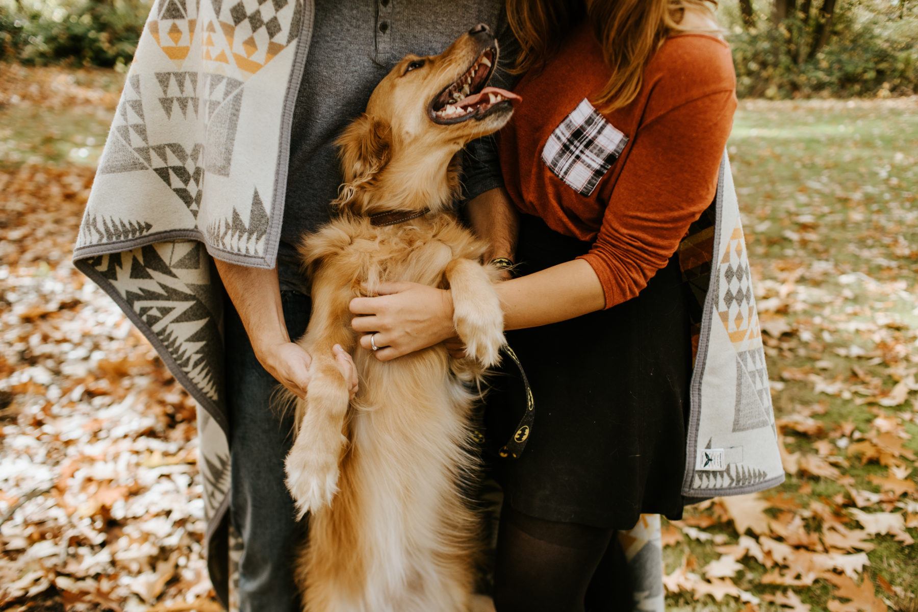 seattle wedding photographer fall arboretum engagement golden retriever