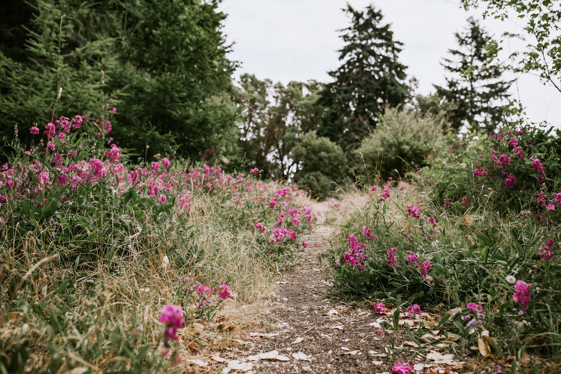 seattle wedding photographer orcas island