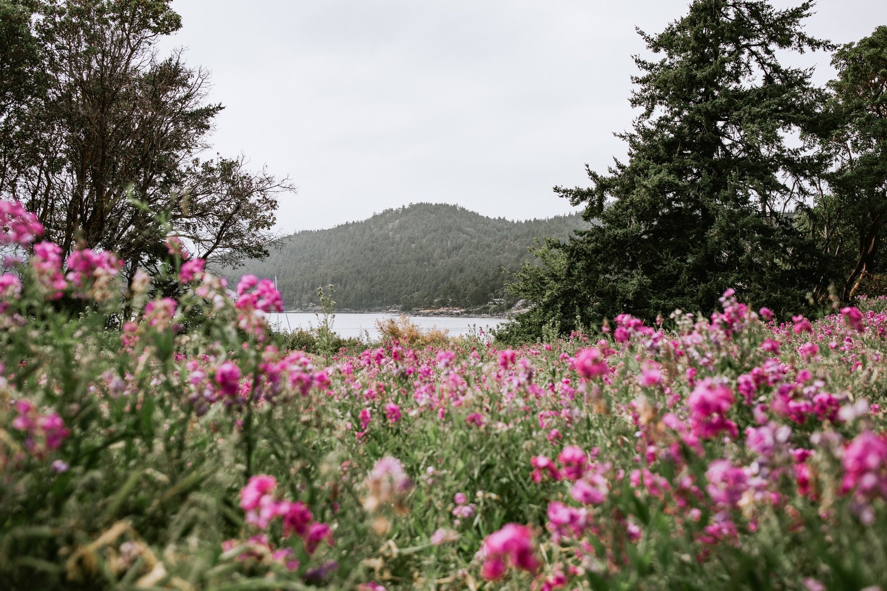 seattle wedding photographer orcas island