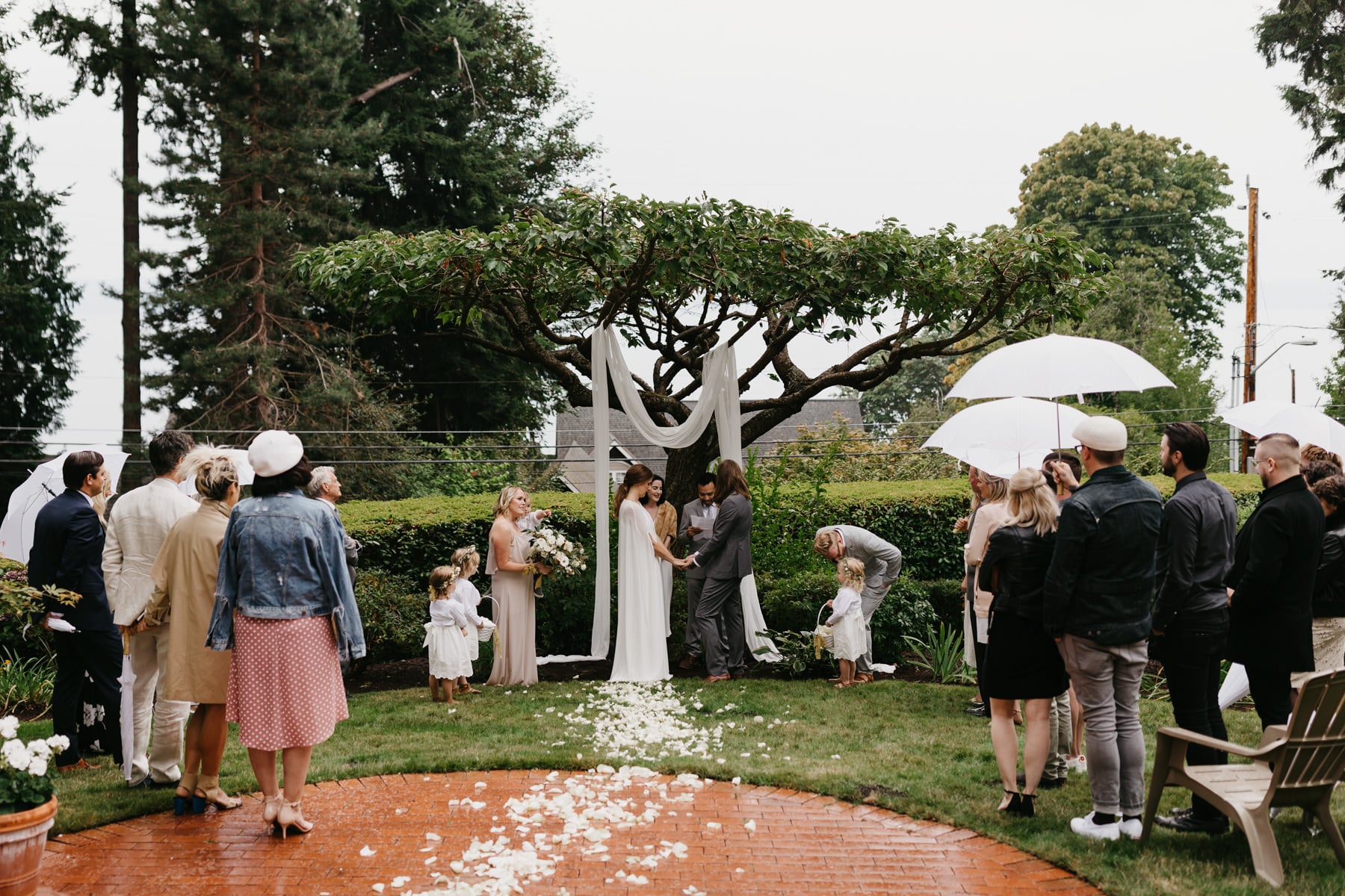 small backyard wedding seattle