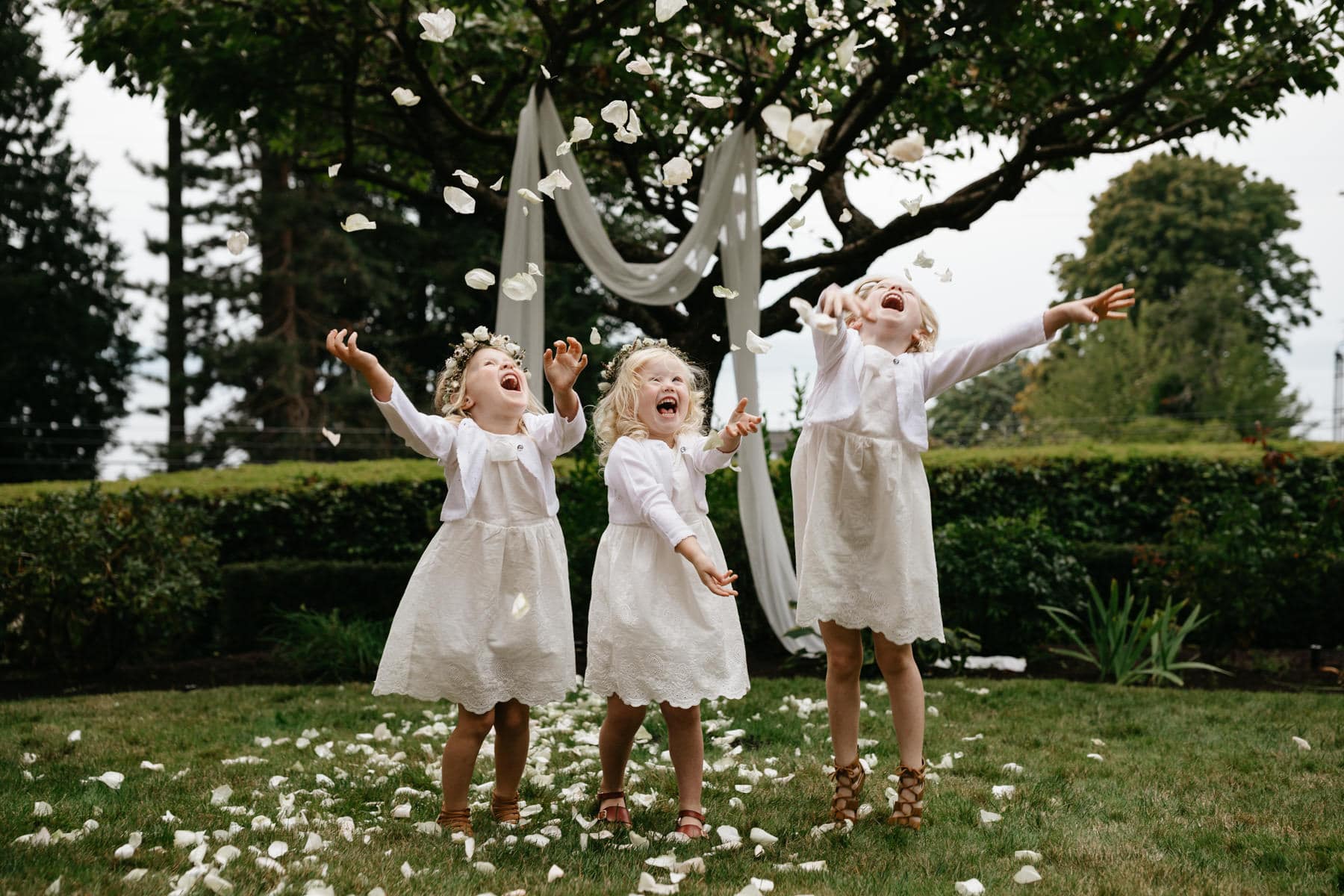 small backyard wedding seattle