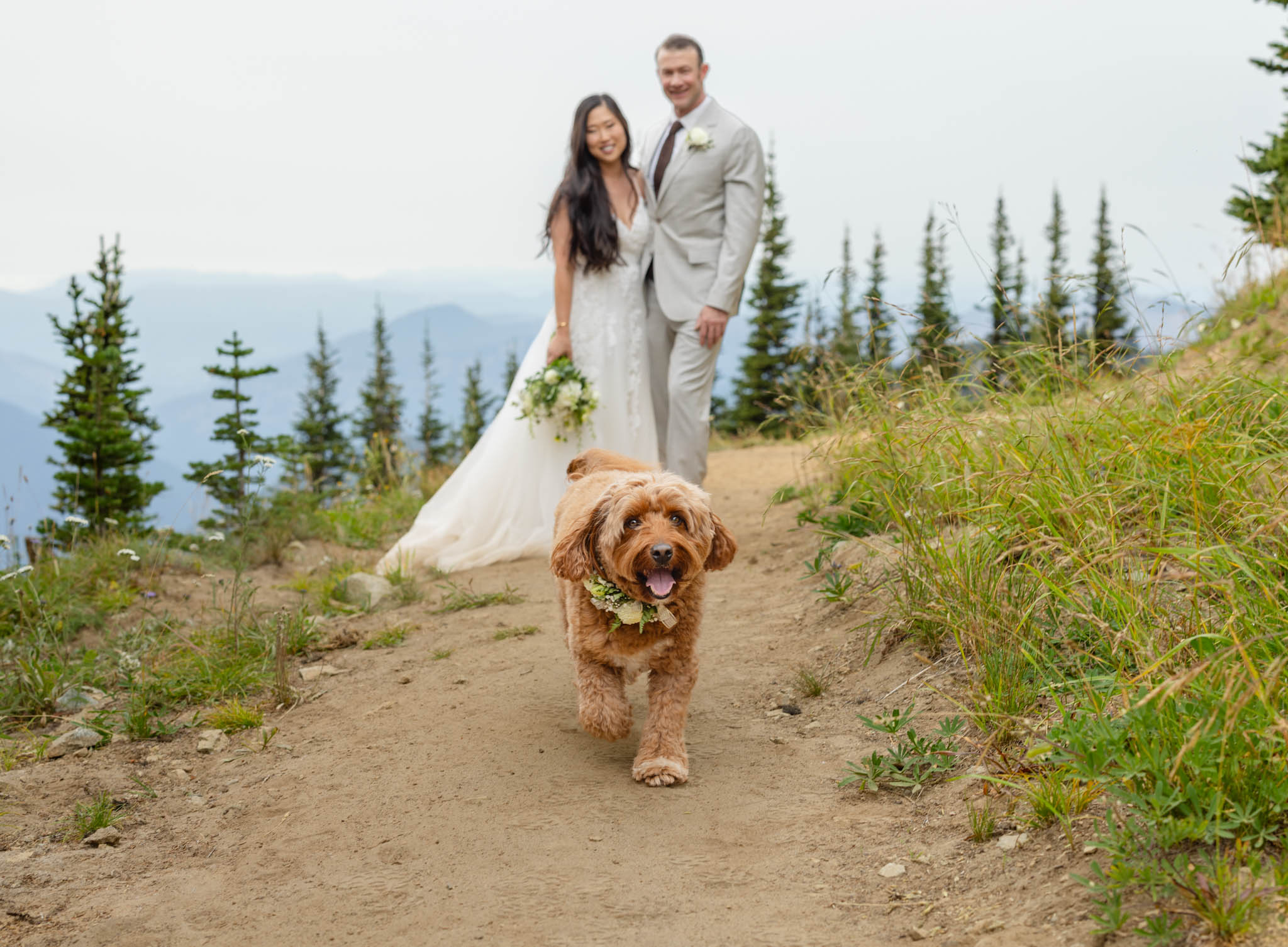 crystal mountain dog wedding