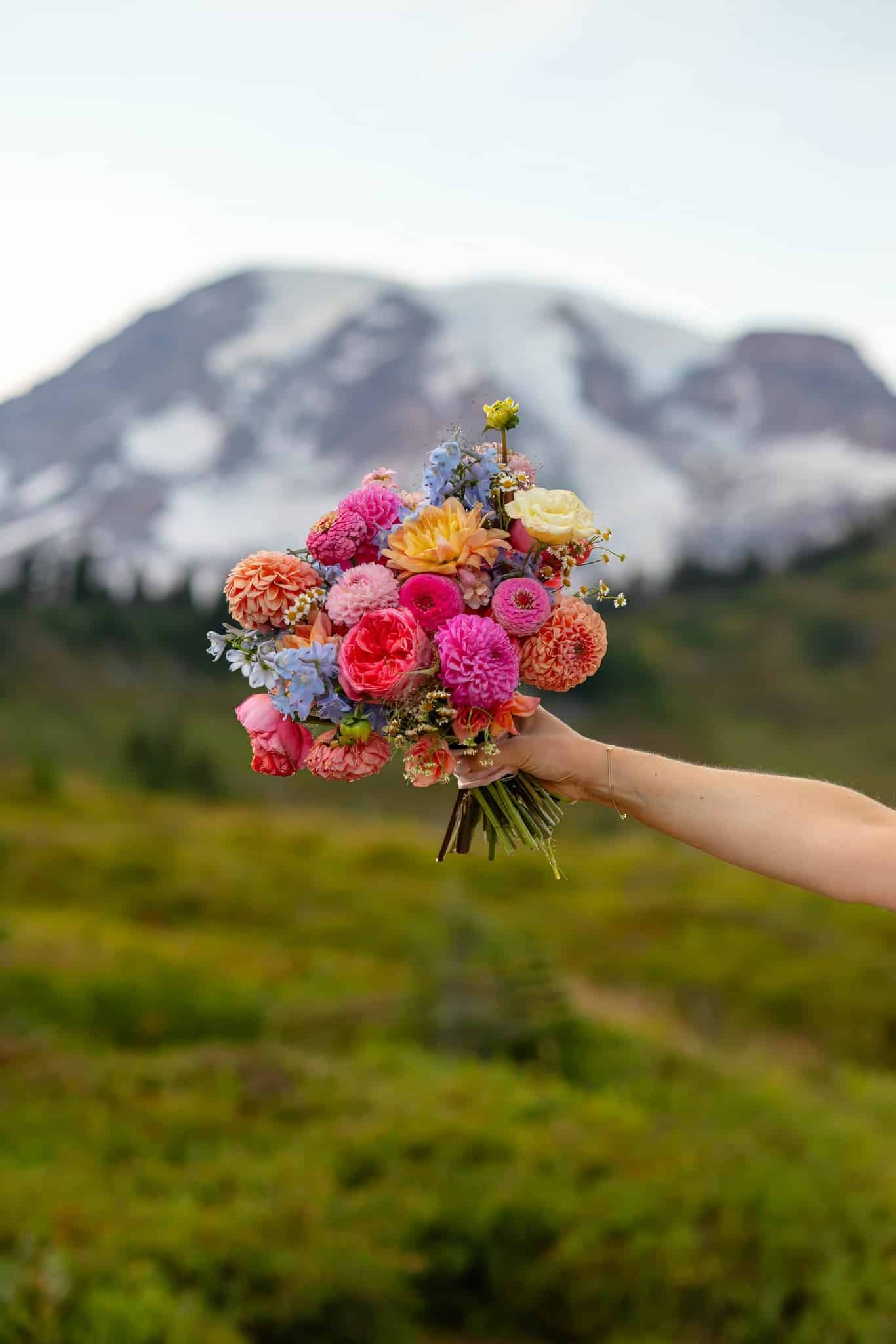 paradise mount rainier wedding photo skyline trail